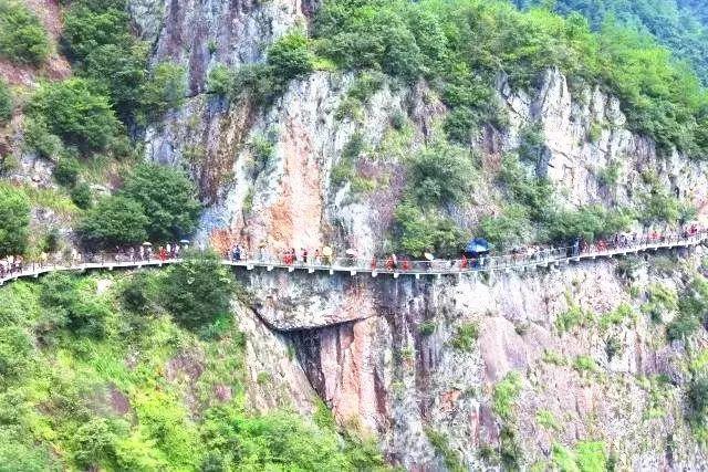 阿凯历险记